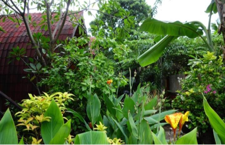 Banana Leaf Bungalow Gili Trawangan Zewnętrze zdjęcie